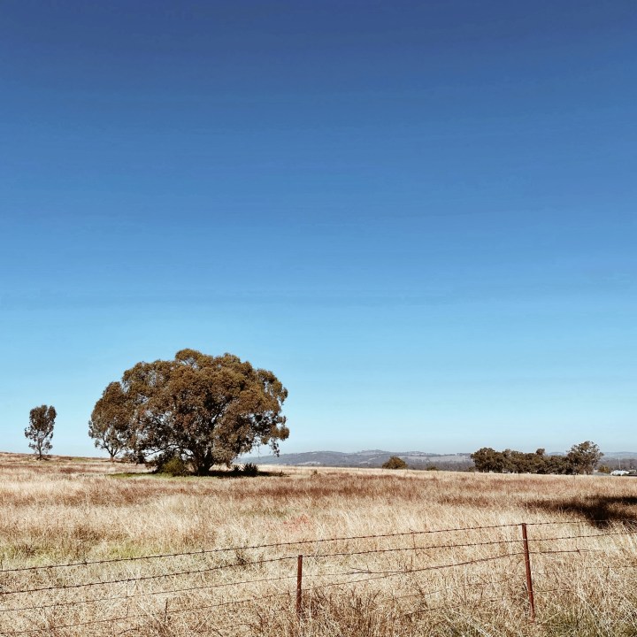 The week that&nbsp;was