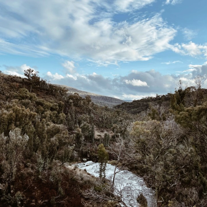 Tea, toast and&nbsp;Tumbarumba
