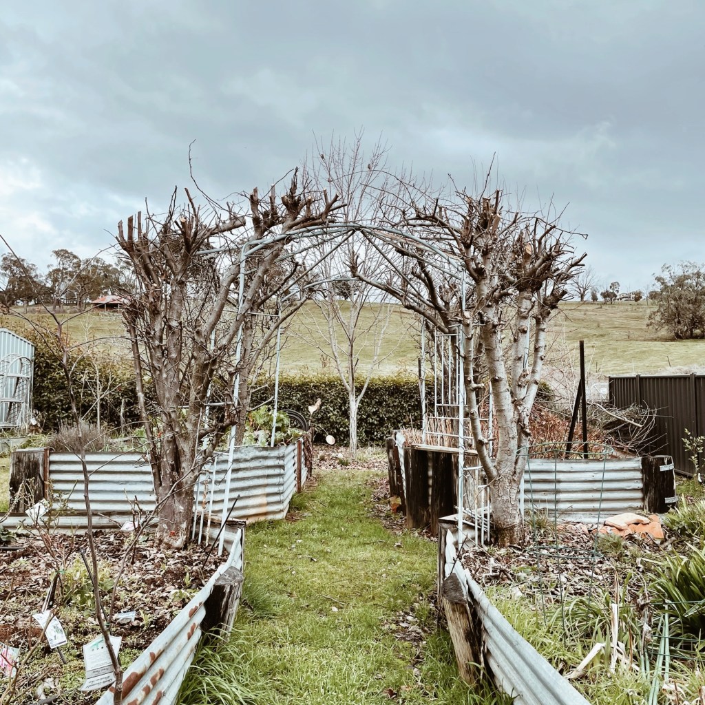 The garden at Magenta Cottage in Tumbarumba, New South Wales, Australia.