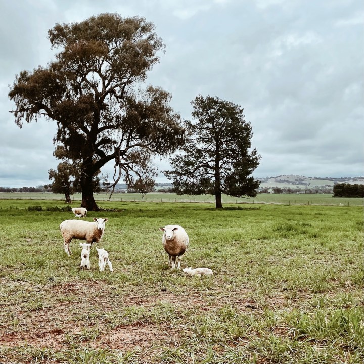 What’s been making me happy:&nbsp;July