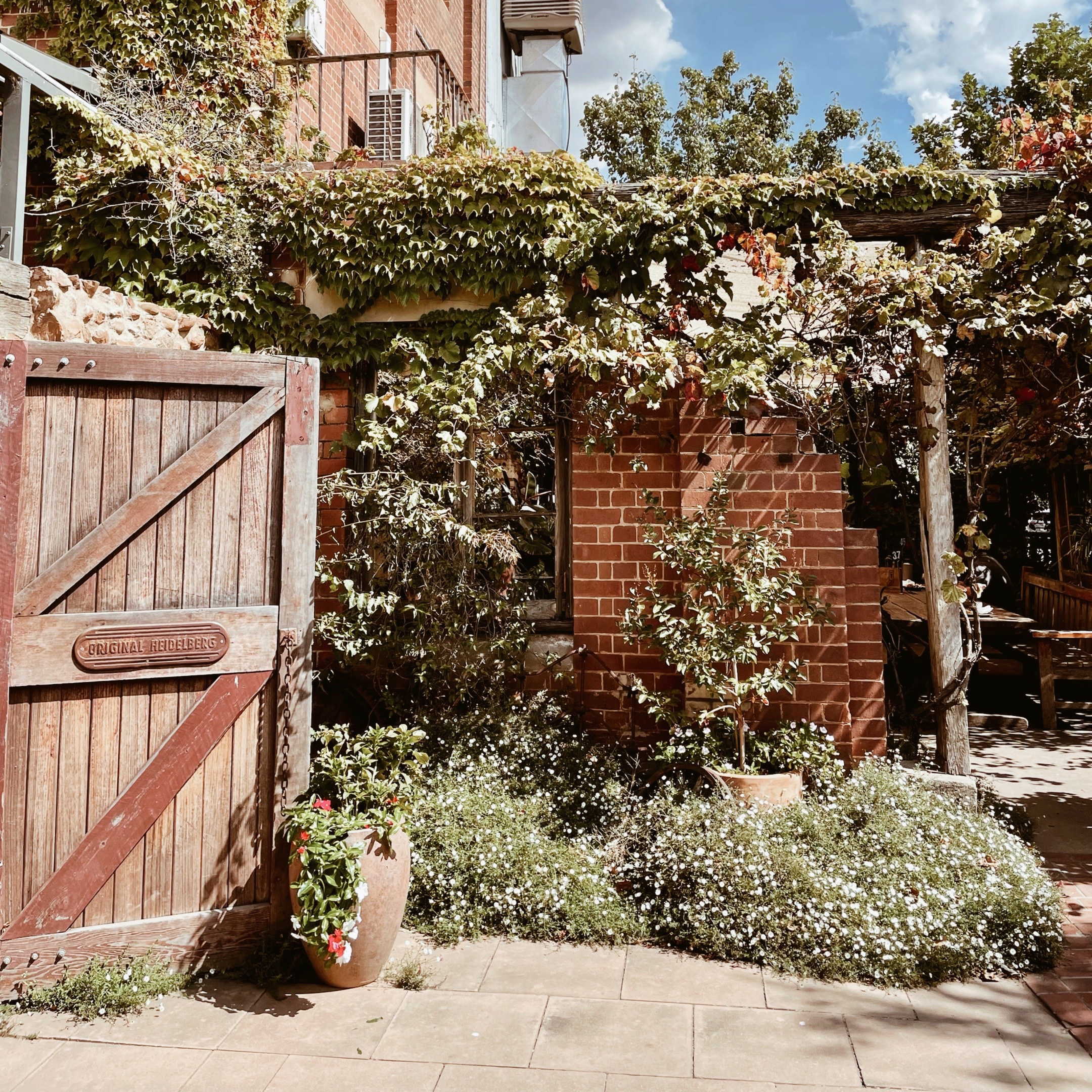 Plant filled courtyard at the Junee Licorice and Chocolate Factory, Junee, New South Wales, Australia.