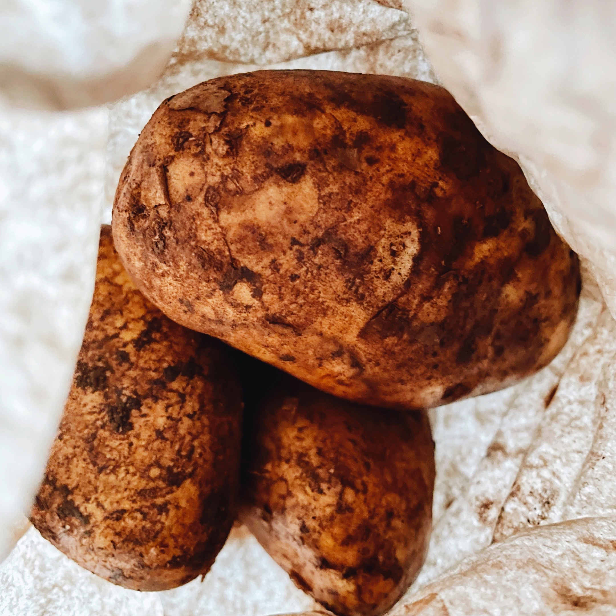 Dirt covered potatoes in a brown paper bag.