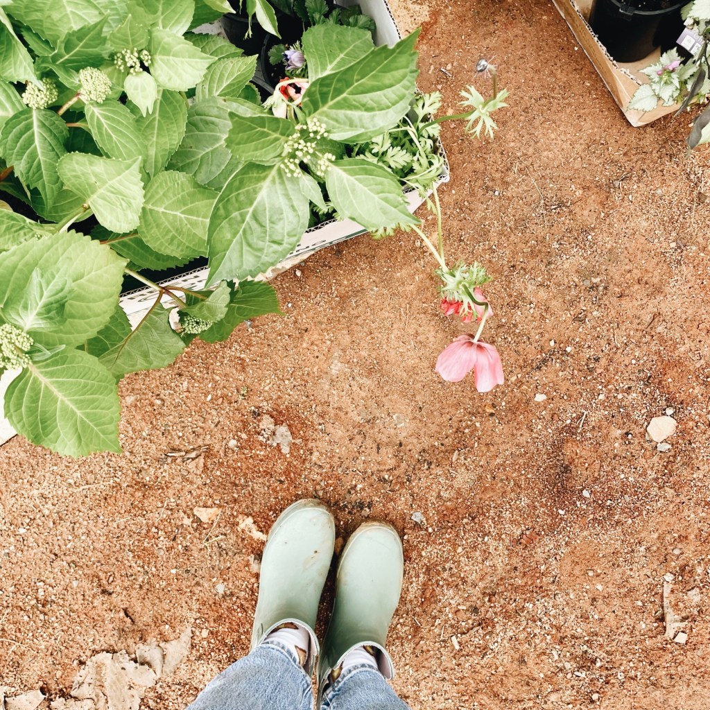 Looking down on some feet in wellington boots standing beside boxes of plants.