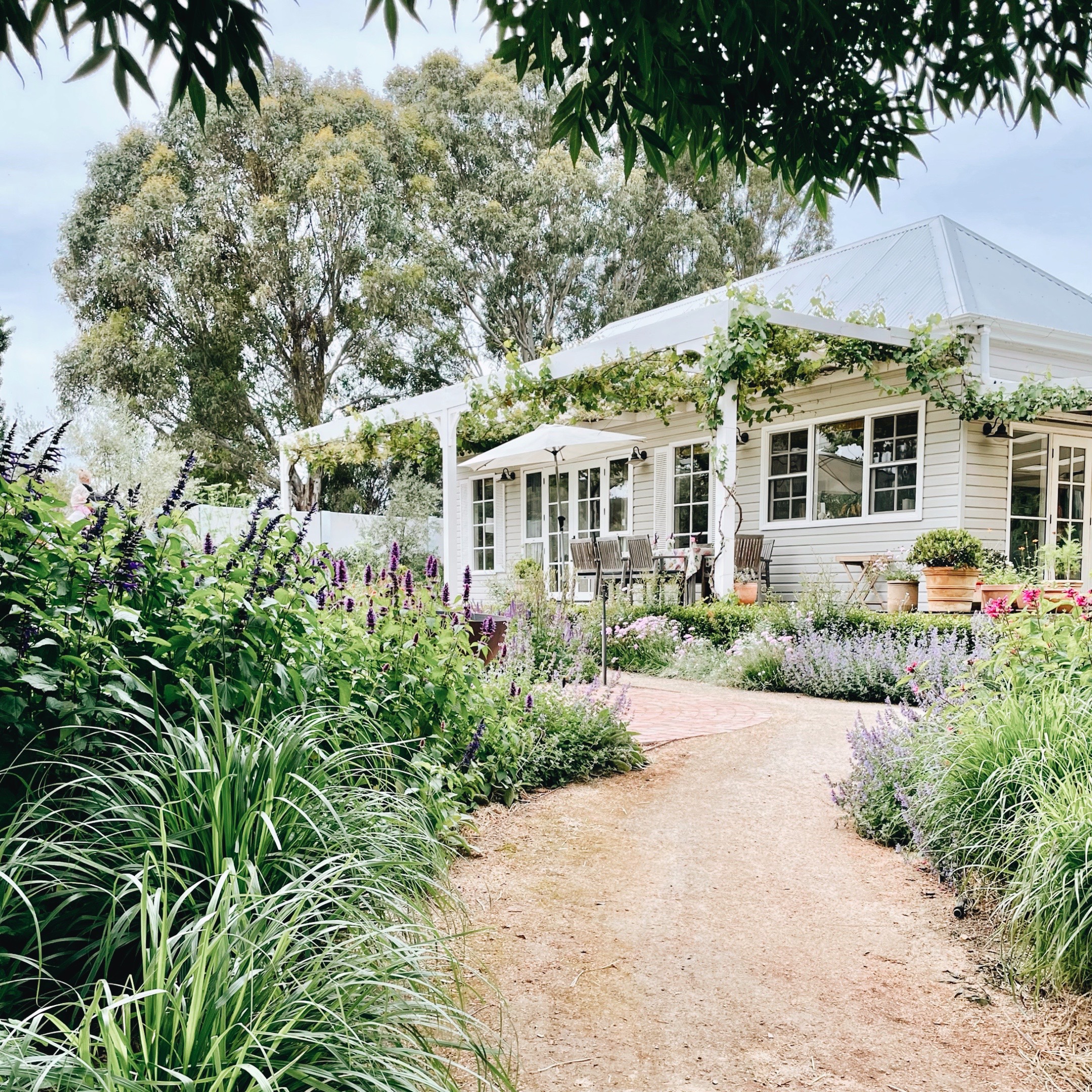 The main homestead and front garden at Ladysmith, Park, Perennials, Ladysmith, New South Wales, Australia.
