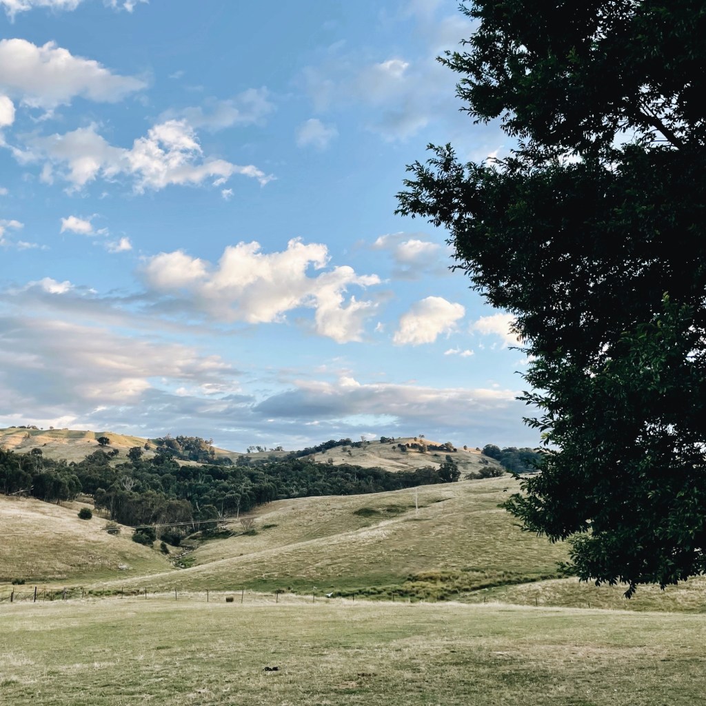 Farmland around Bullioh in north-east Victoria, Australia.