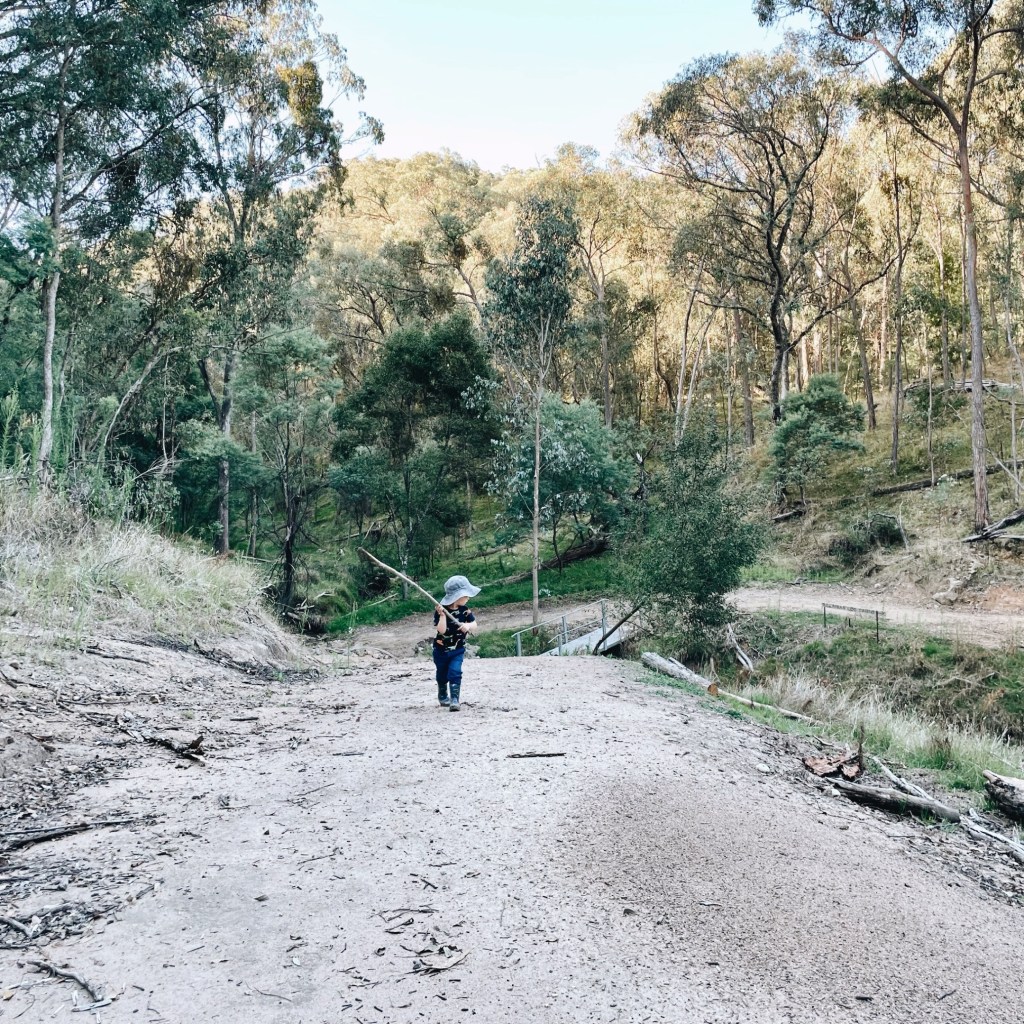 Small child carrying a stick on a walking track through bushland in north-east Victoria, Australia.
